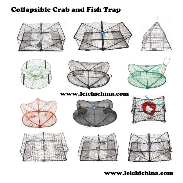 Collapsible Crab and Fish Trap1