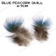 blue peacork quill.JPG