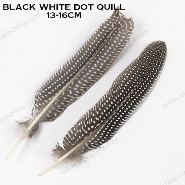 black white dot quill