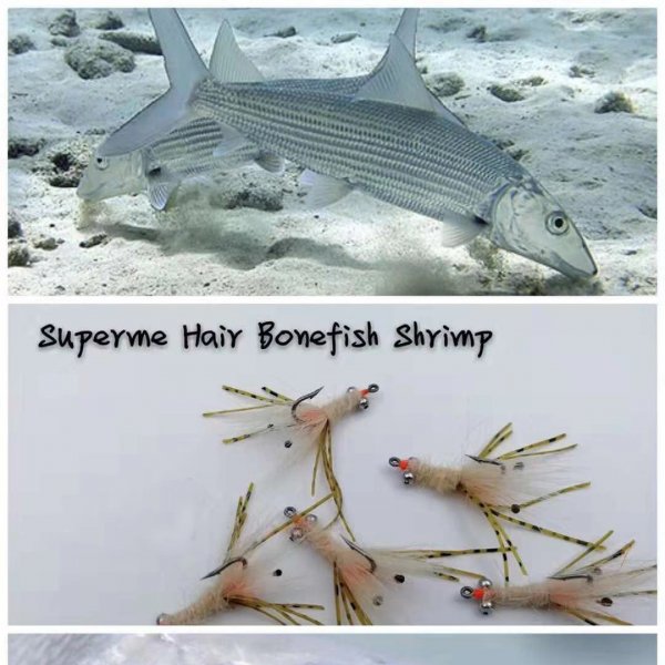 Superme Hair Bonefish Shrimp