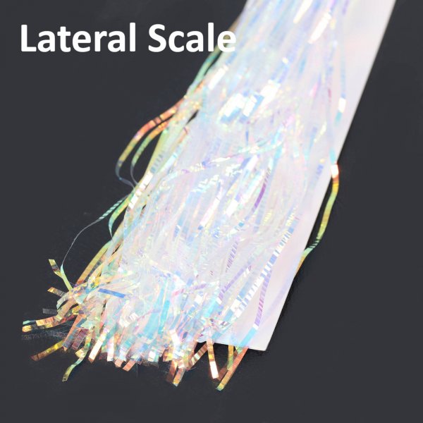 lateral scale