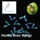 Honey Bees 10只装-2