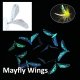 Mayfly 10只装-2