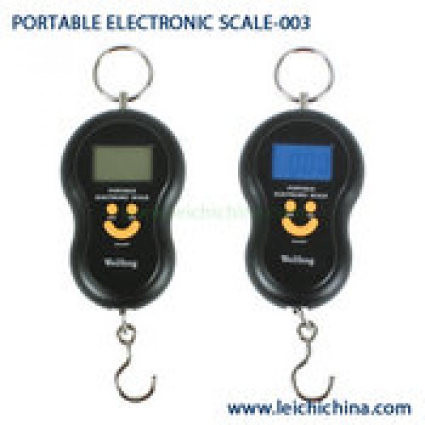 portable fishing digital scale 003