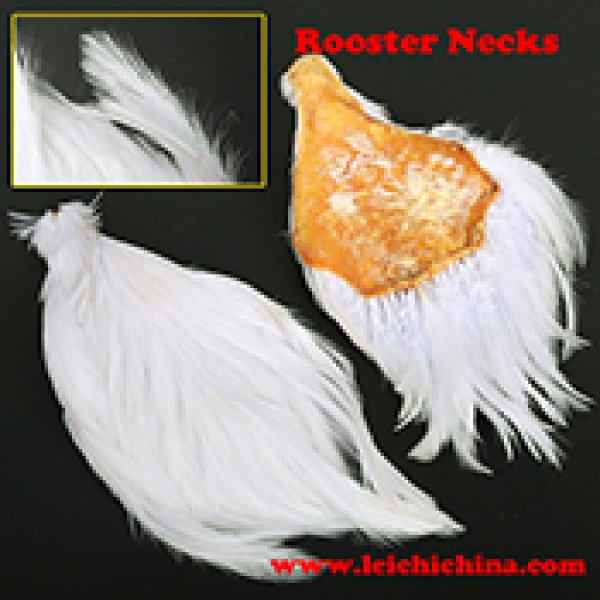 Fly tying Chinese rooster necks