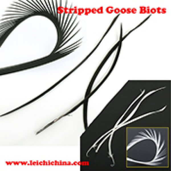 Stripped goose biots