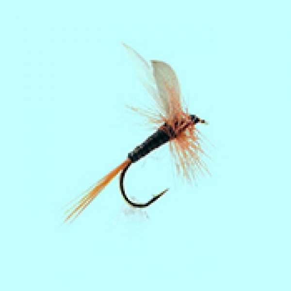 Dry fly Ginger Quill