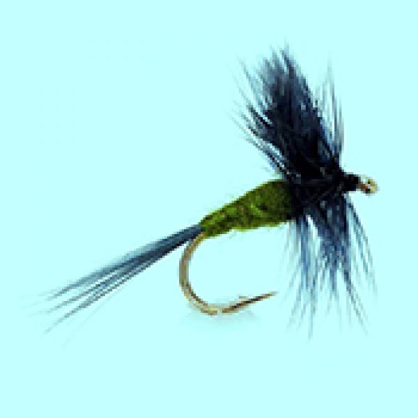 Dry fly Blue Winged Olive