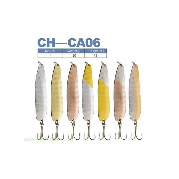 CH-CA06