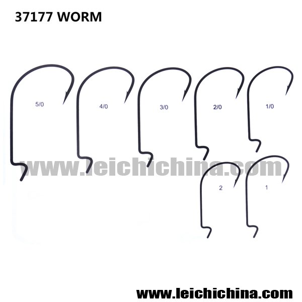 37177 WORM