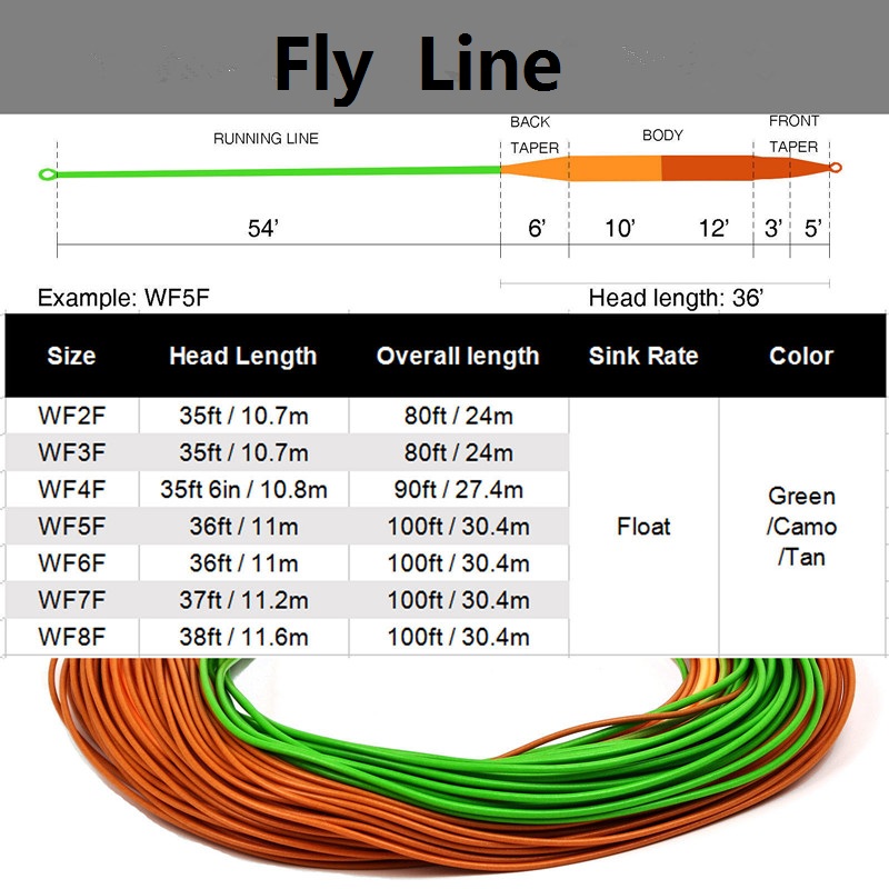 fly line perception3