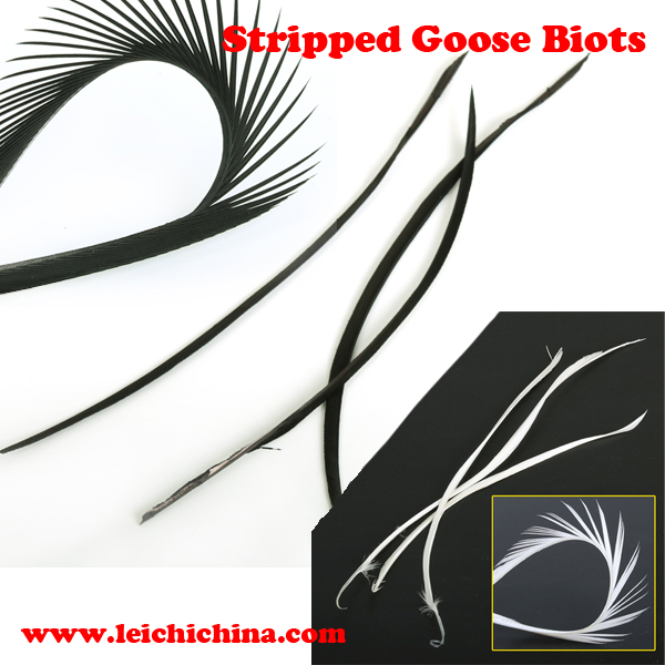 stripped goose biots