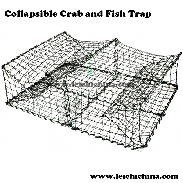 Collapsible Crab and Fish Trap - Qingdao Leichi Industrial & Trade Co.,Ltd.