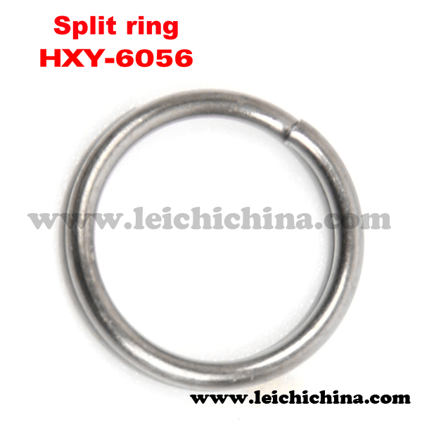 Split ring HXY-6056.JPG