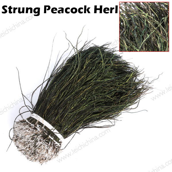 Strung Peacock Herl